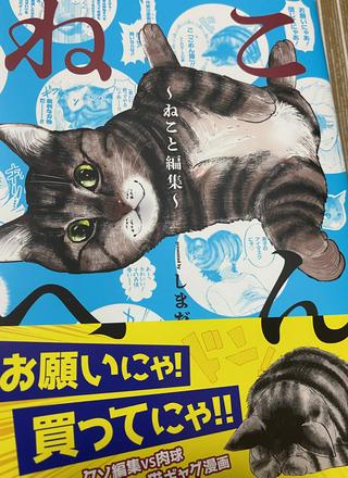ねこへん ~ねこと編集~ Raw Free