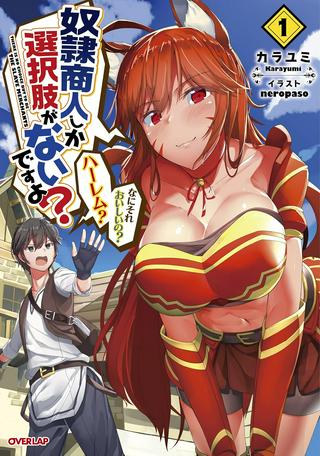 奴隷商人しか選択肢がないですよ?~ハーレム?なにそれおいしいの?~ Raw Free