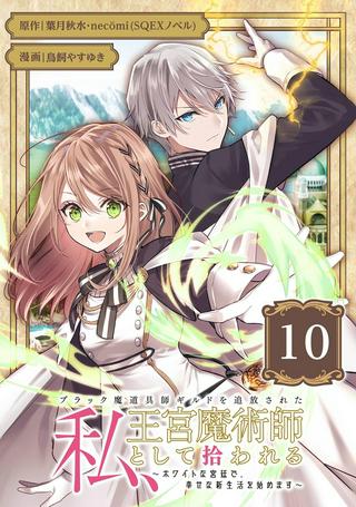 ブラック魔道具師ギルドを追放された私、王宮魔術師として拾われる ~ホワイトな宮廷で、幸せな新生活を始めます!~ Raw Free