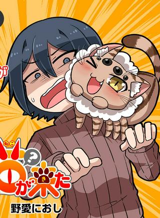 ベランダに猫(?)が来た Raw Free